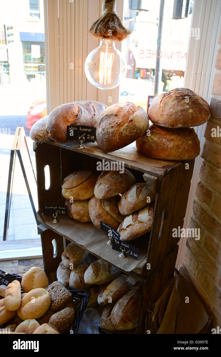 rustic bread in delicatessen polish deli bread rolls rustic brown