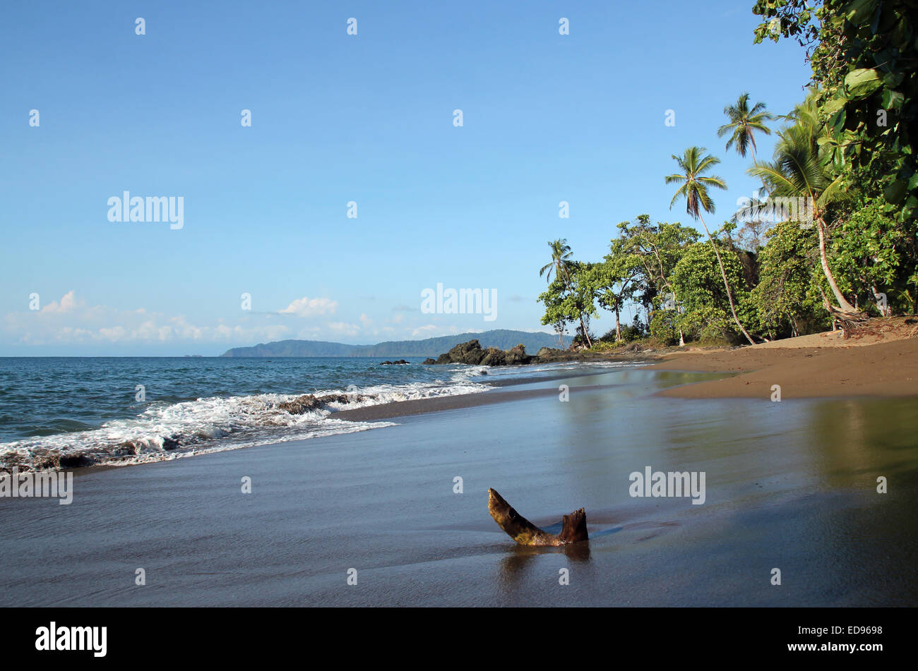 Beach in Drake Bay, Osa Peninsula, Costa Rica Stock Photo