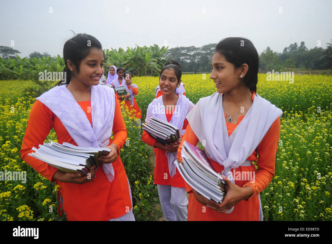 Bangladeshi Village Girls Are Going To School In The Muster Field With Textbooks Outside Of Dhaka Bangladeshi Village Girls Are Going To School In The Muster Field With Textbooks Outside Of Dhaka