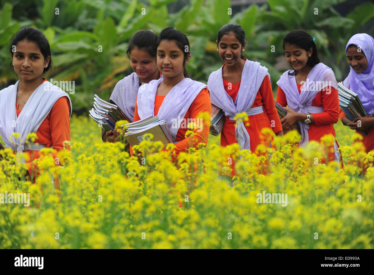 Bangladeshi Village Girls Are Going To School In The Muster Field With Textbooks Outside Of Dhaka Bangladeshi Village Girls Are Going To School In The Muster Field With Textbooks Outside Of Dhaka