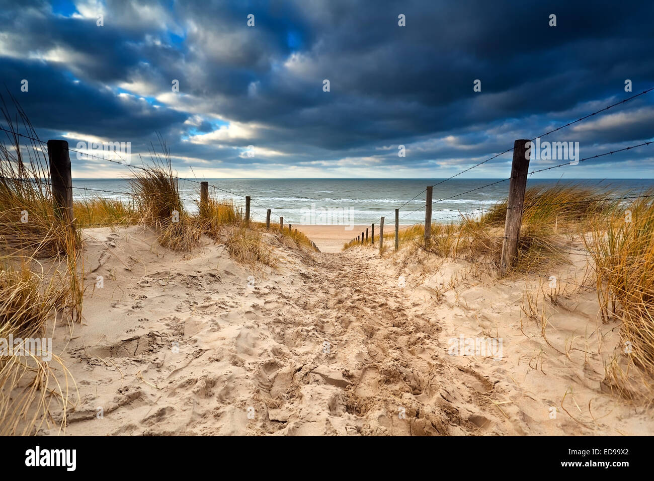 Sand path to North sea beach, Zandvoort, Netherlands Stock Photo