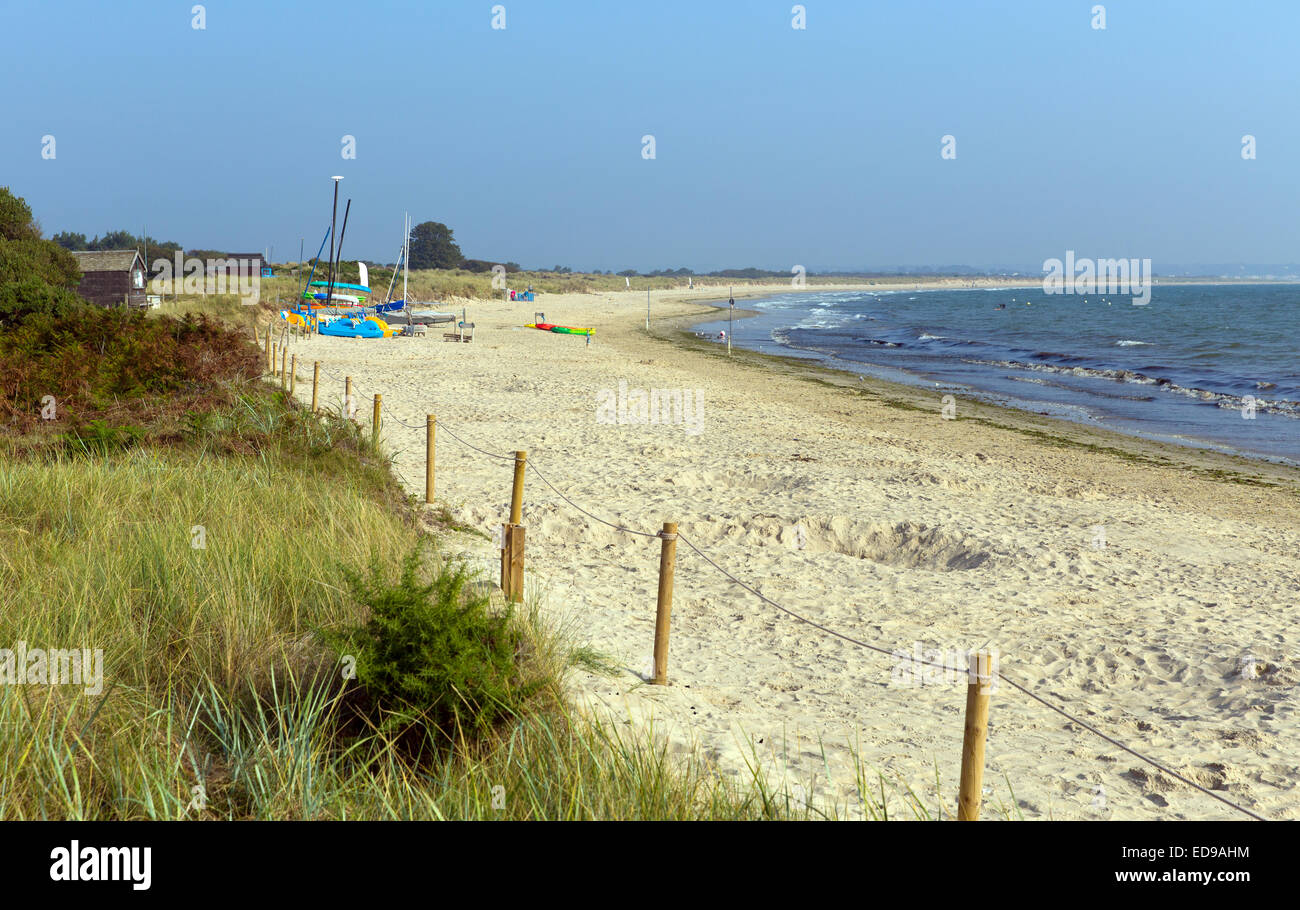 Studland knoll beach Dorset England UK located between Swanage and Poole and Bournemouth Stock Photo
