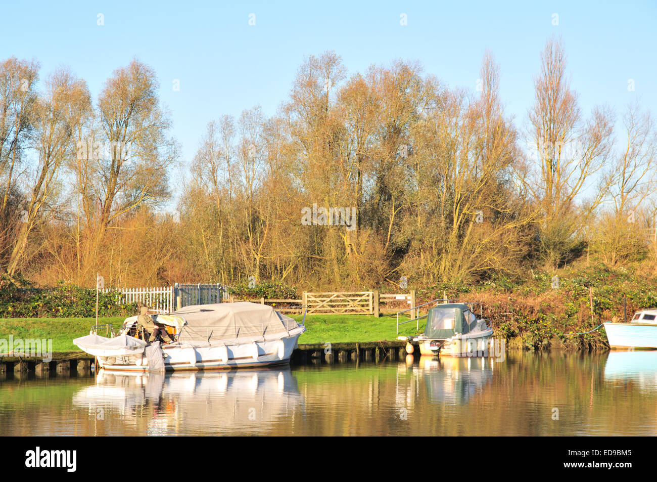 Man fishing from a boat at Beccles Quay Stock Photo Alamy