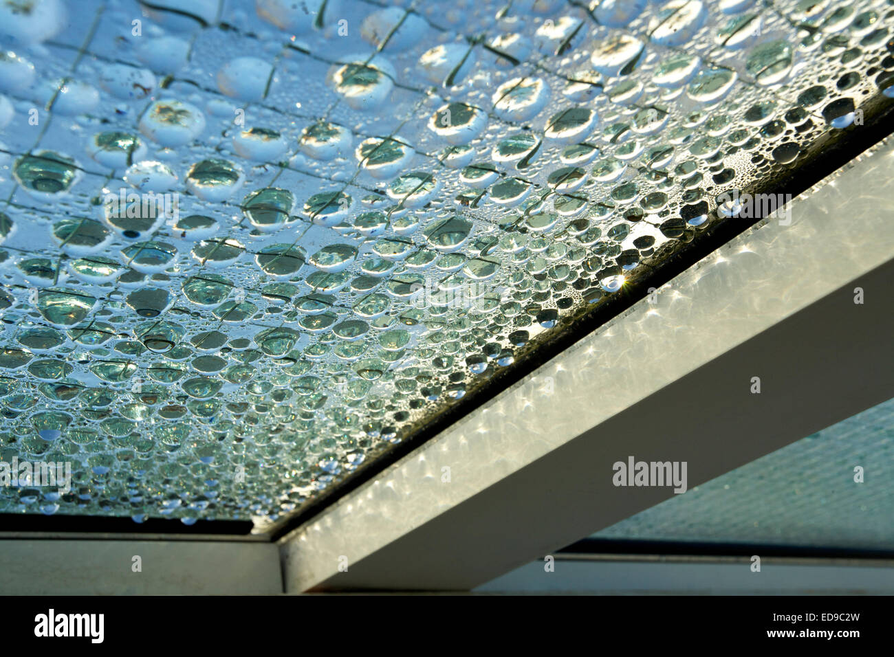 Condensation droplets on underside of singleglazed glass roof Stock