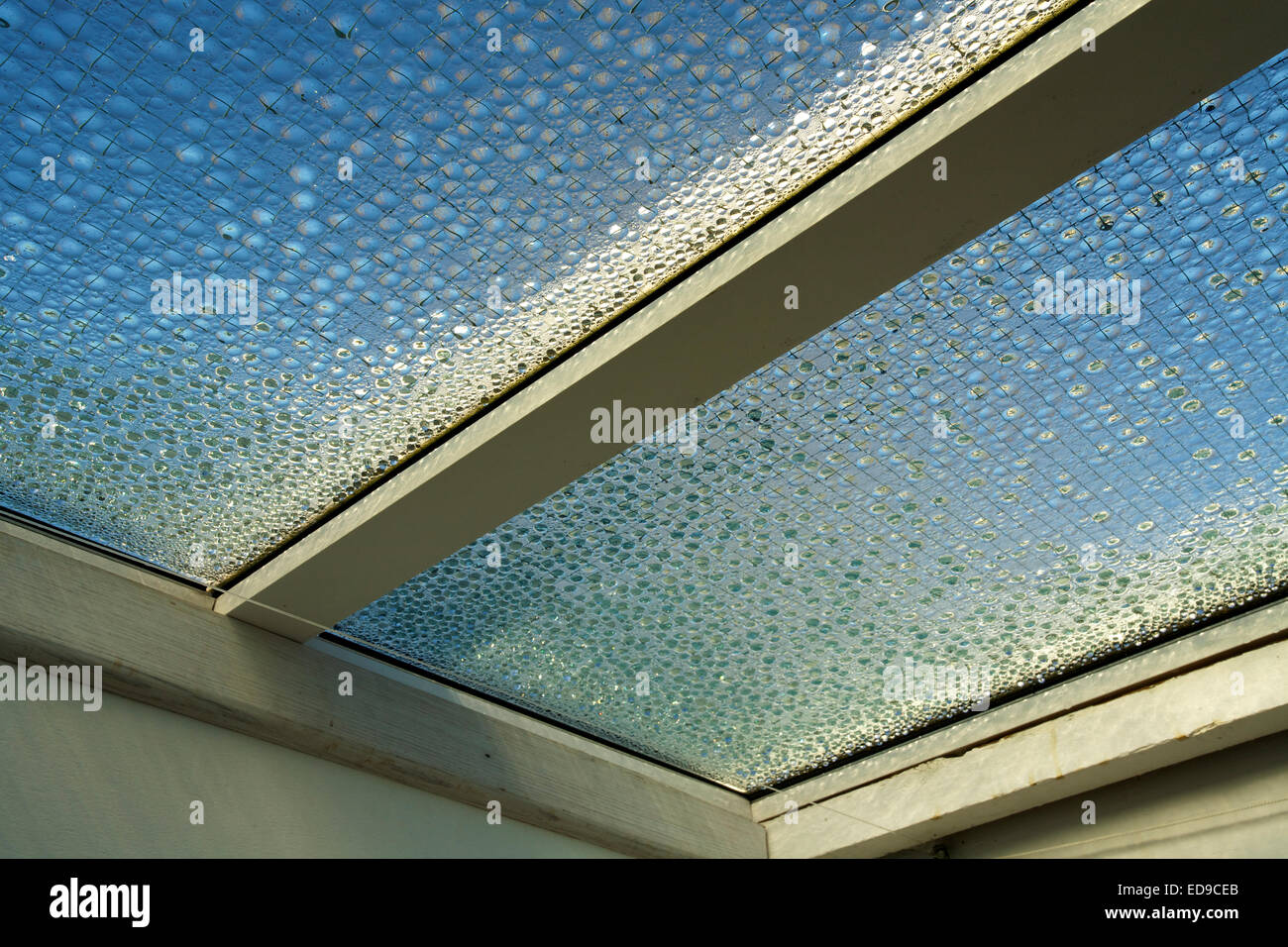 Condensation droplets on underside of single-glazed glass roof Stock Photo