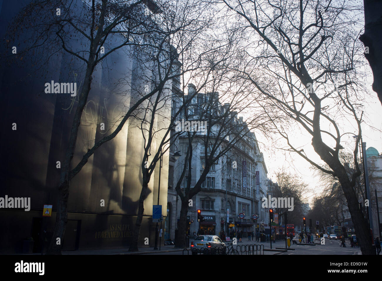 Winter trees and branches in London's Holborn. Stock Photo