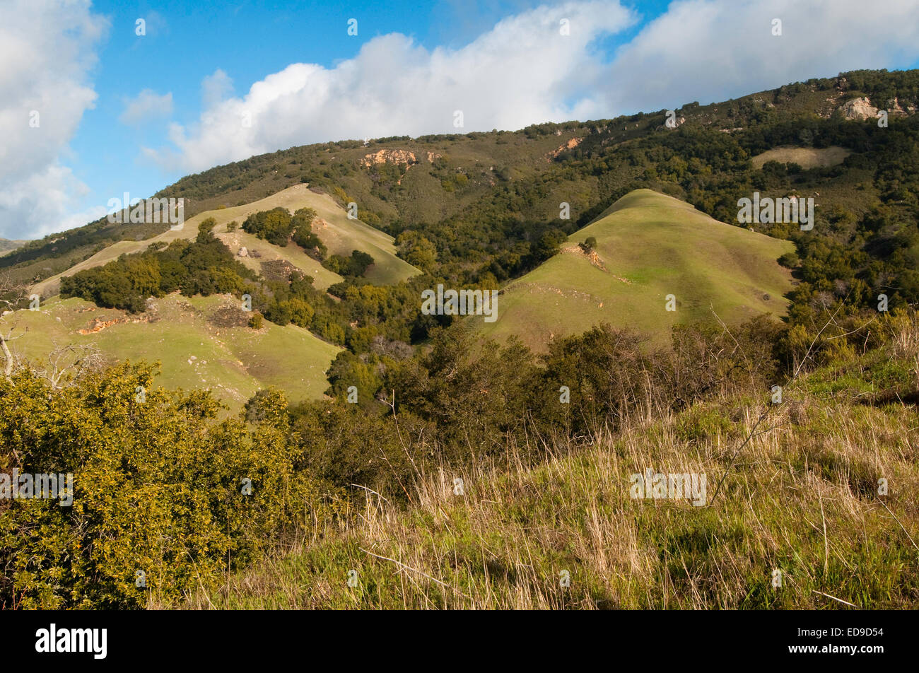 Northern California hillsides Stock Photo
