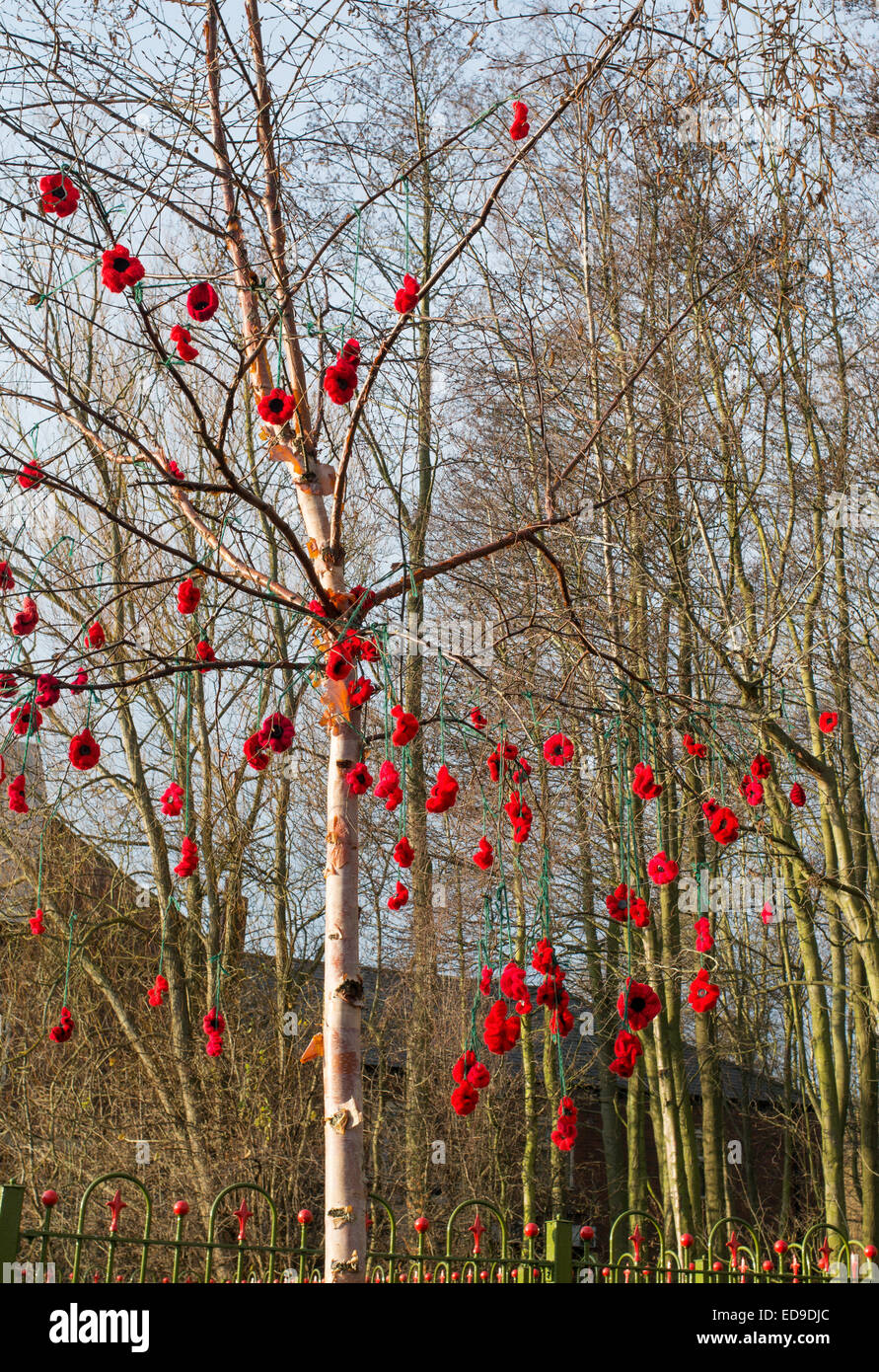 Blueberries in Winter Hat — Birch Tree Knits