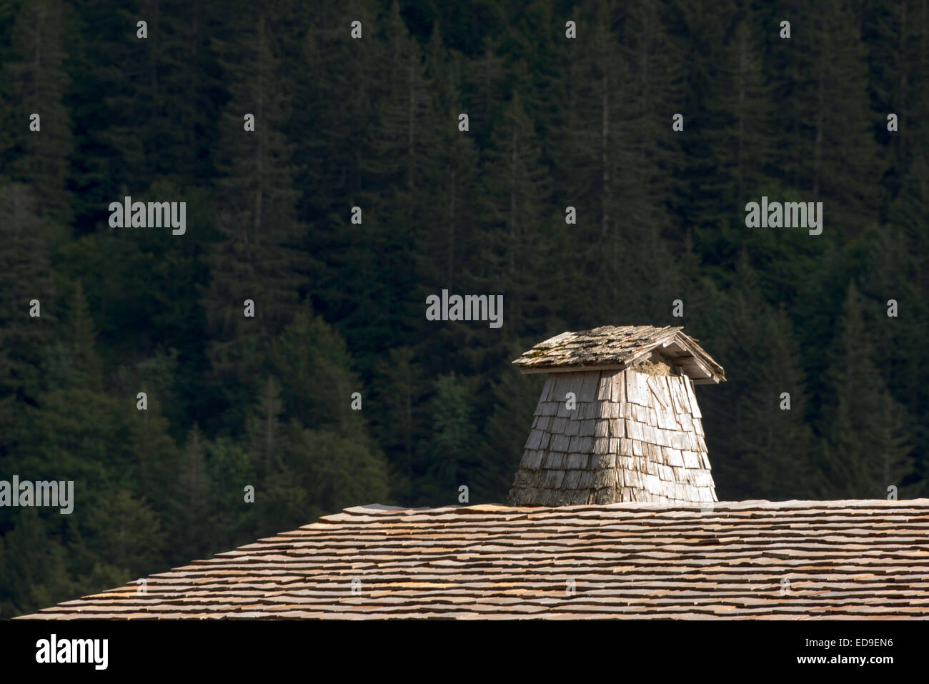Chimney with wood protection Stock Photo