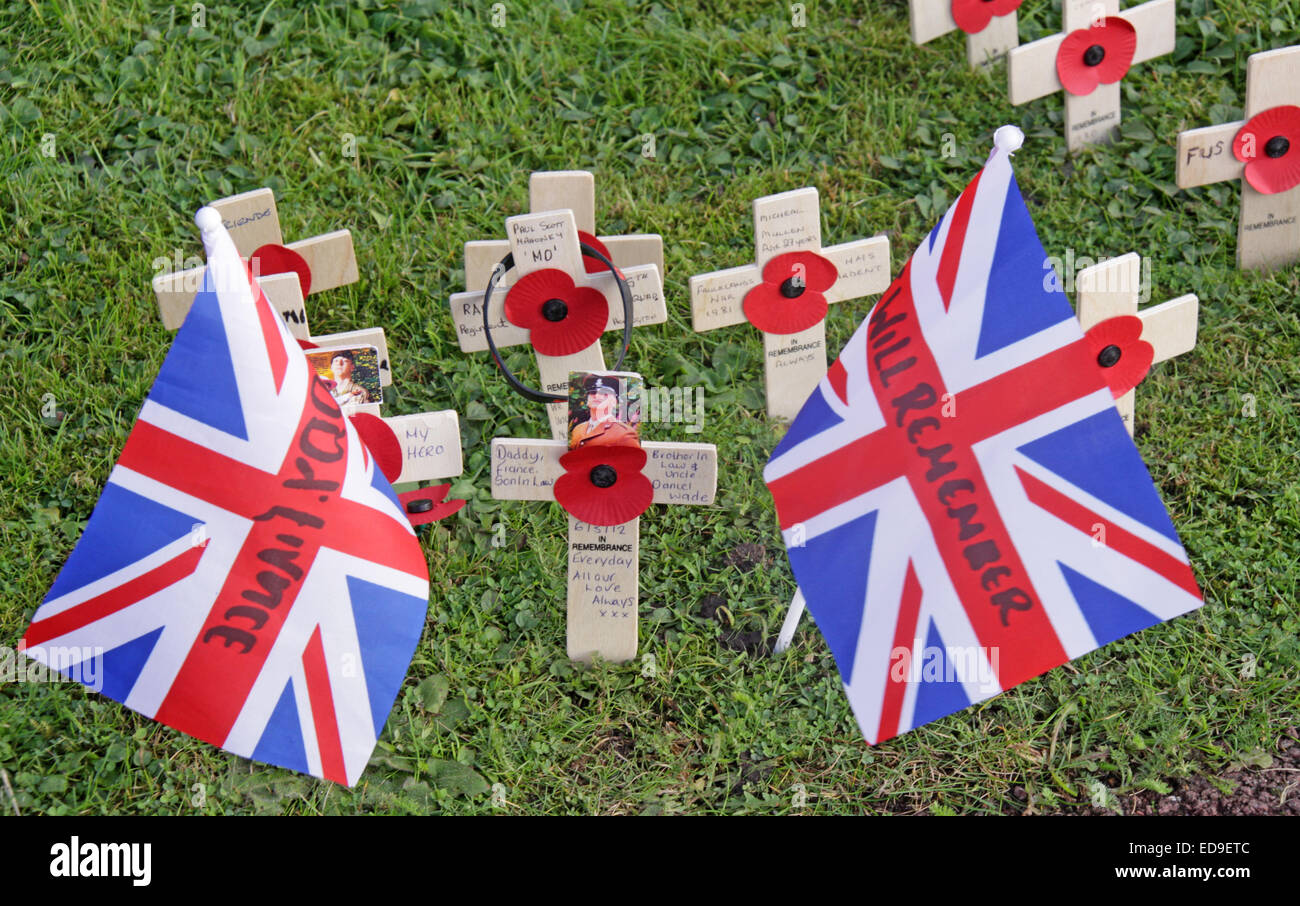 Remembrance day Flags / Poppies Warrington Cenotaph Nov 2014, Bridgefoot, Wilderspool Causeway, Cheshire, England, UK Stock Photo