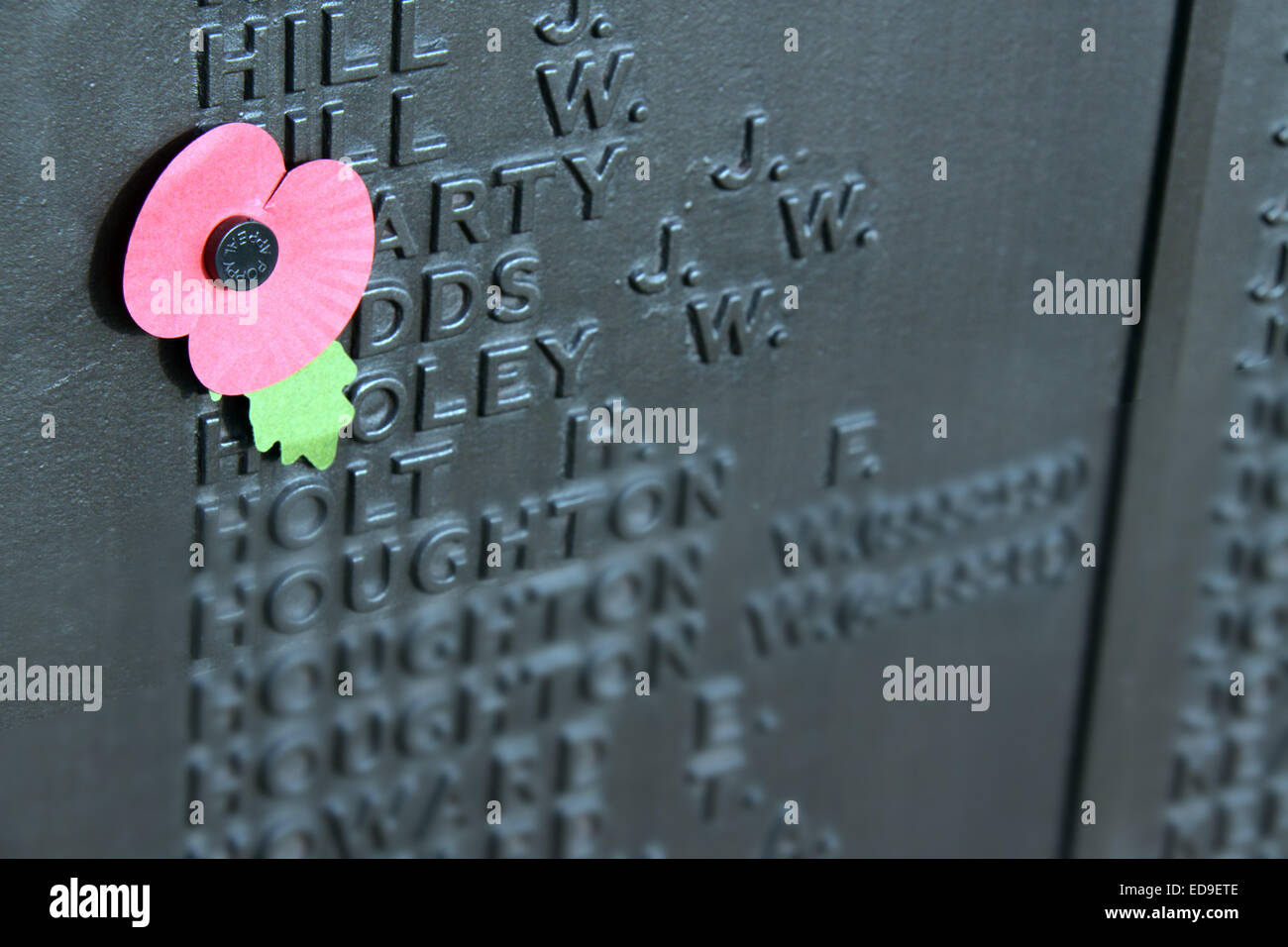 Remembrance day Single Poppy Warrington Cenotaph Nov 2014, Bridgefoot, Wilderspool Causeway, Cheshire, England, UK Stock Photo