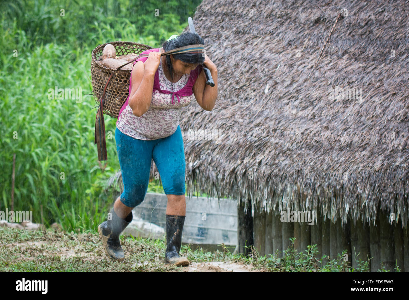 Woman from Native Community of Amazon northern Peru carrying load on her head with machete in heavy rain Stock Photo