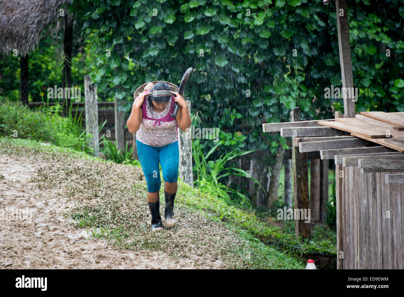 Woman from Native Community of Amazon northern Peru carrying load on her head with machete in heavy rain Stock Photo