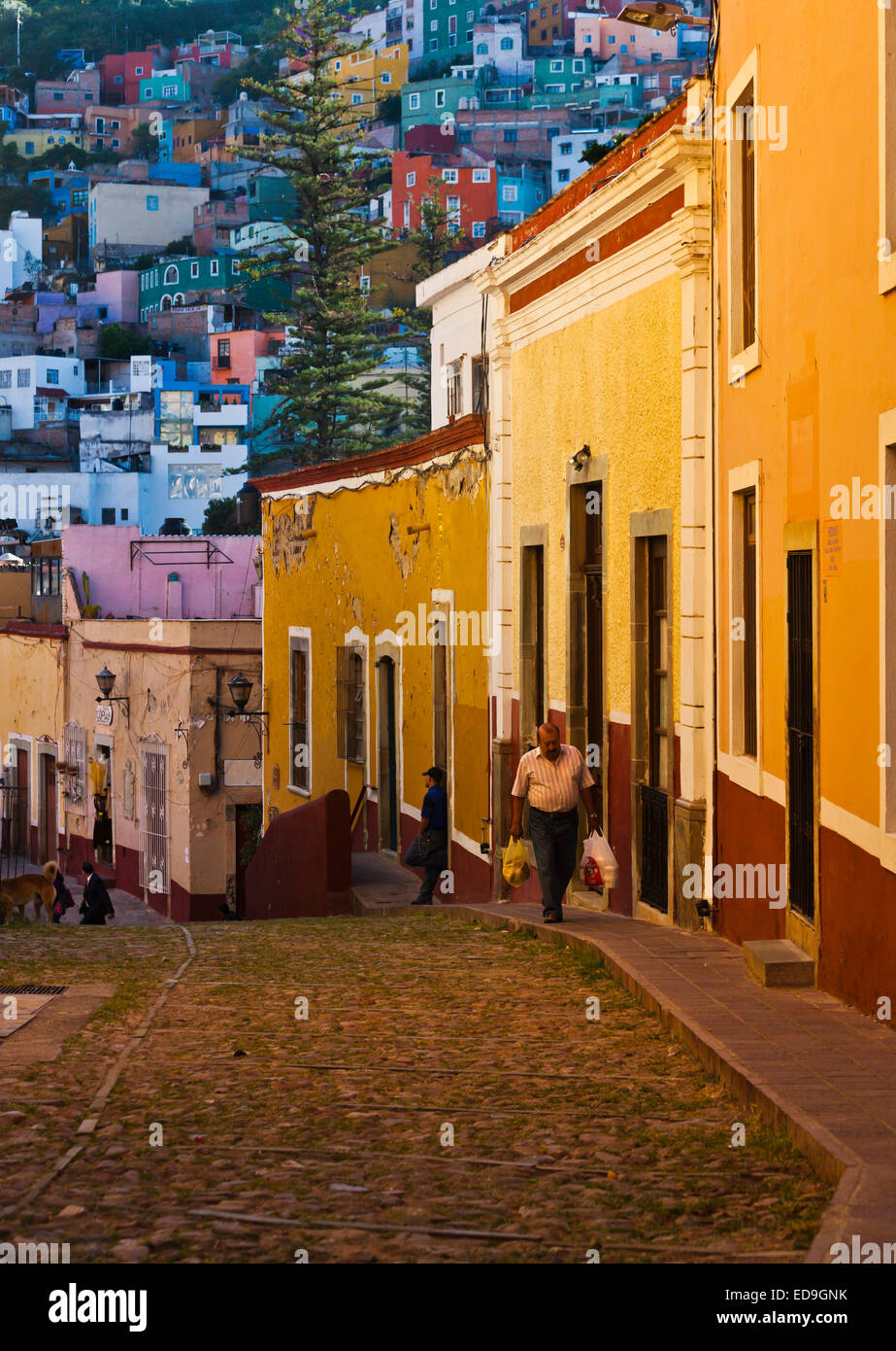 Colorful buildings in the town of GUANAJUATO, MEXICO Stock Photo