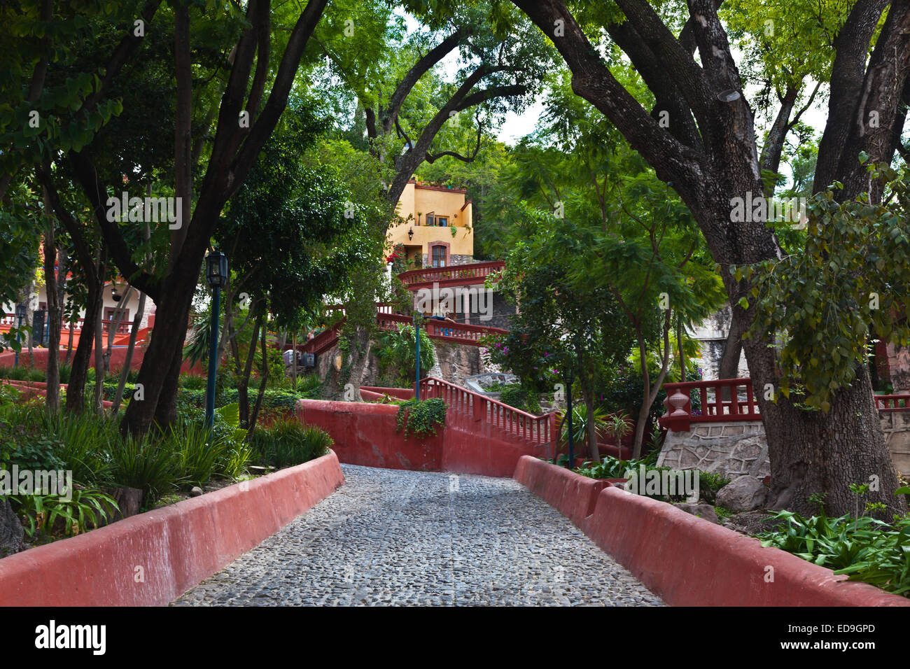 THE CULTURAL CENTER teaches classes in art and music SAN MIGUEL DE