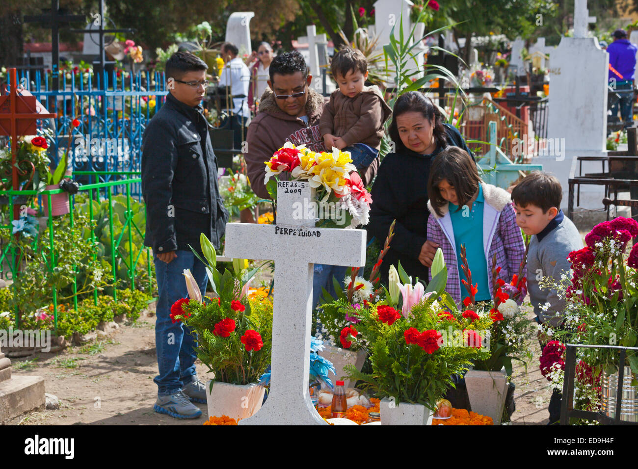 GRAVES are covered with FRESH FLOWERS to loved ones back to earth during DAY OF THE DEAD