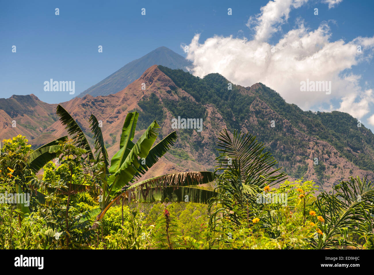 Mount Inerie, a volcano on Flores island, East Nusa Tenggara, Indonesia. Stock Photo