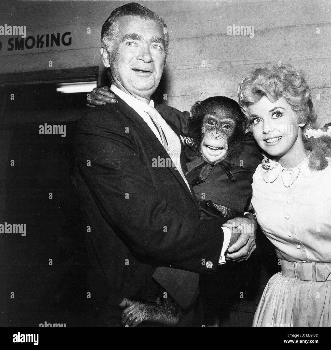 File. 2nd Jan, 2015. DONNA DOUGLAS, who played hillbilly bombshell Elly May Clampett on the baby-boomer-beloved 1960s sitcom The Beverly Hillbillies, has died in her Louisiana home. She was 81. PICTURED - c. 1960's - Donna Douglas and Buddy Ebsen with chimp at Patsy Awards. Credit: Globe Photos/ZUMAPRESS.com/Alamy Live News Stock Photo