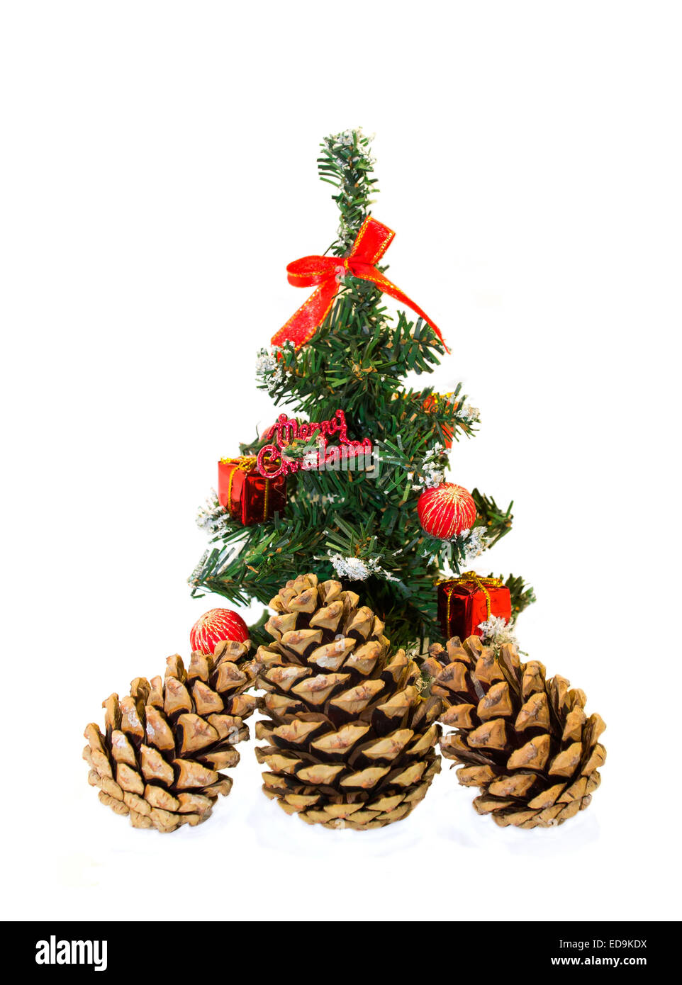 Spruce and fir cones on a white background isolated Stock Photo - Alamy