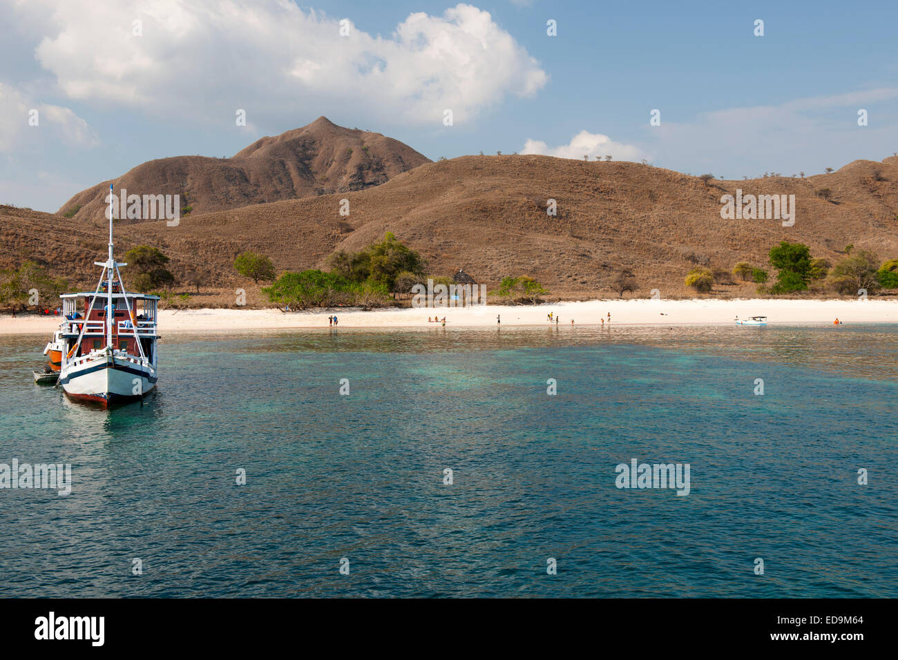 Tourist boats anchored off pink beach, part of Komodo island, East Nusa Tenggara, Indonesia. Stock Photo