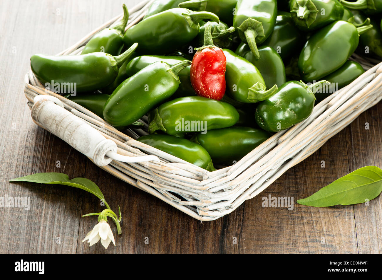 Chilicote hires stock photography and images Alamy
