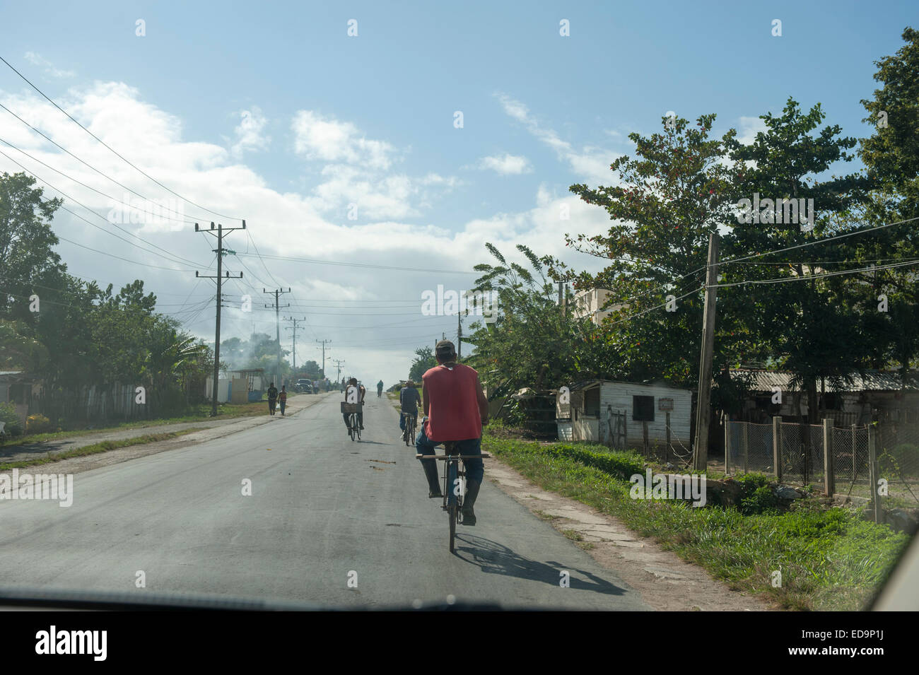 Pinar del Rio/Vinales, Cuba  09 December 2014  Picture by marc marnie  WORLD RIGHTS Stock Photo