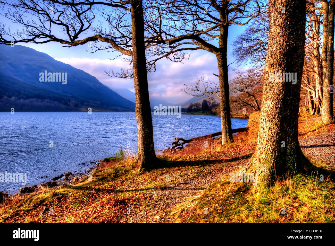 Loch Voil in the Trossachs National Park, Scotland Stock Photo Alamy