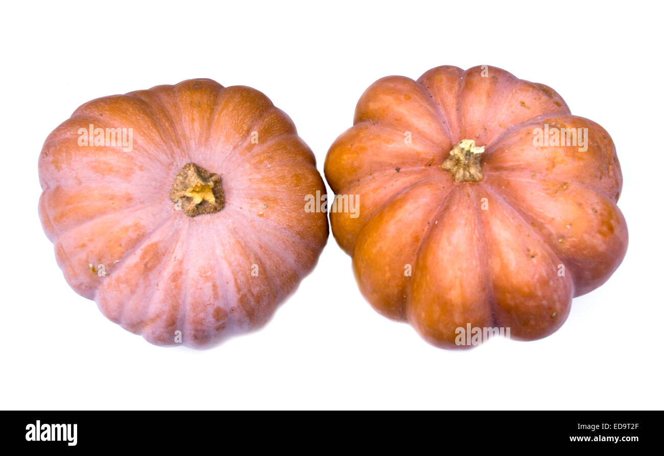 Ripe pumpkins on a white background seen from above Stock Photo - Alamy
