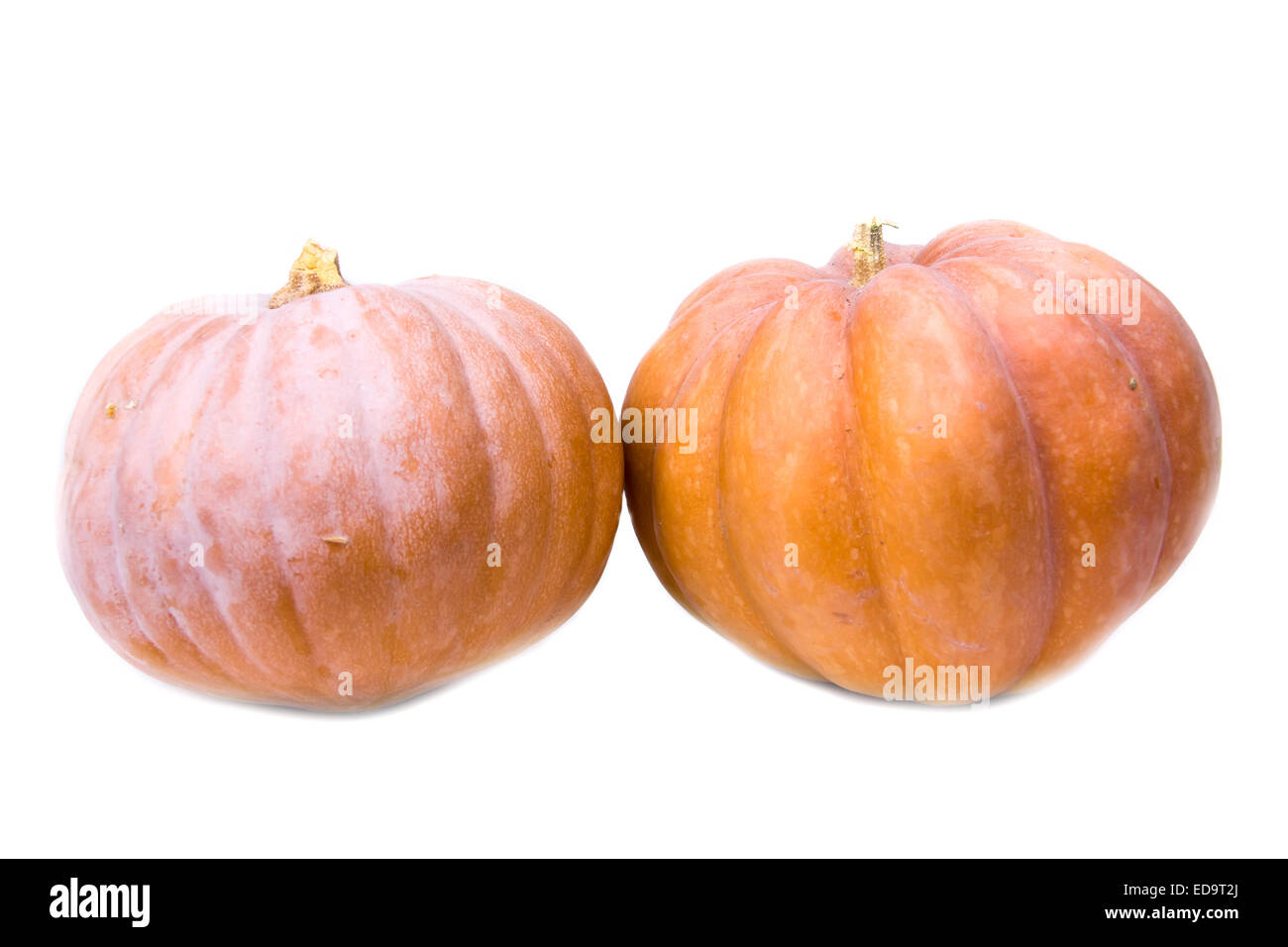 Ripe pumpkins on a white background seen from the front Stock Photo - Alamy