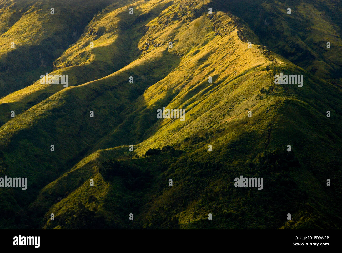 Ridges of Mount Sundoro volcano, Central Java, Indonesia. Stock Photo