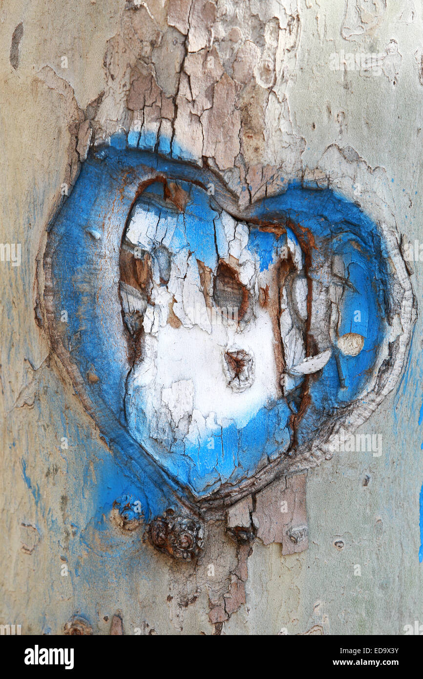 Heart Carved in the Bark of a Tree in two color Stock Photo