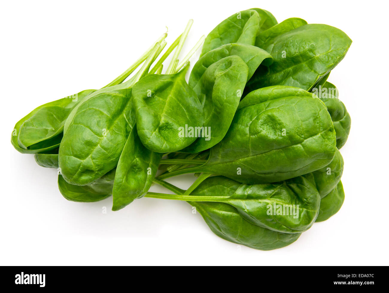 Fresh spinach leaves on a white background seen from above Stock Photo