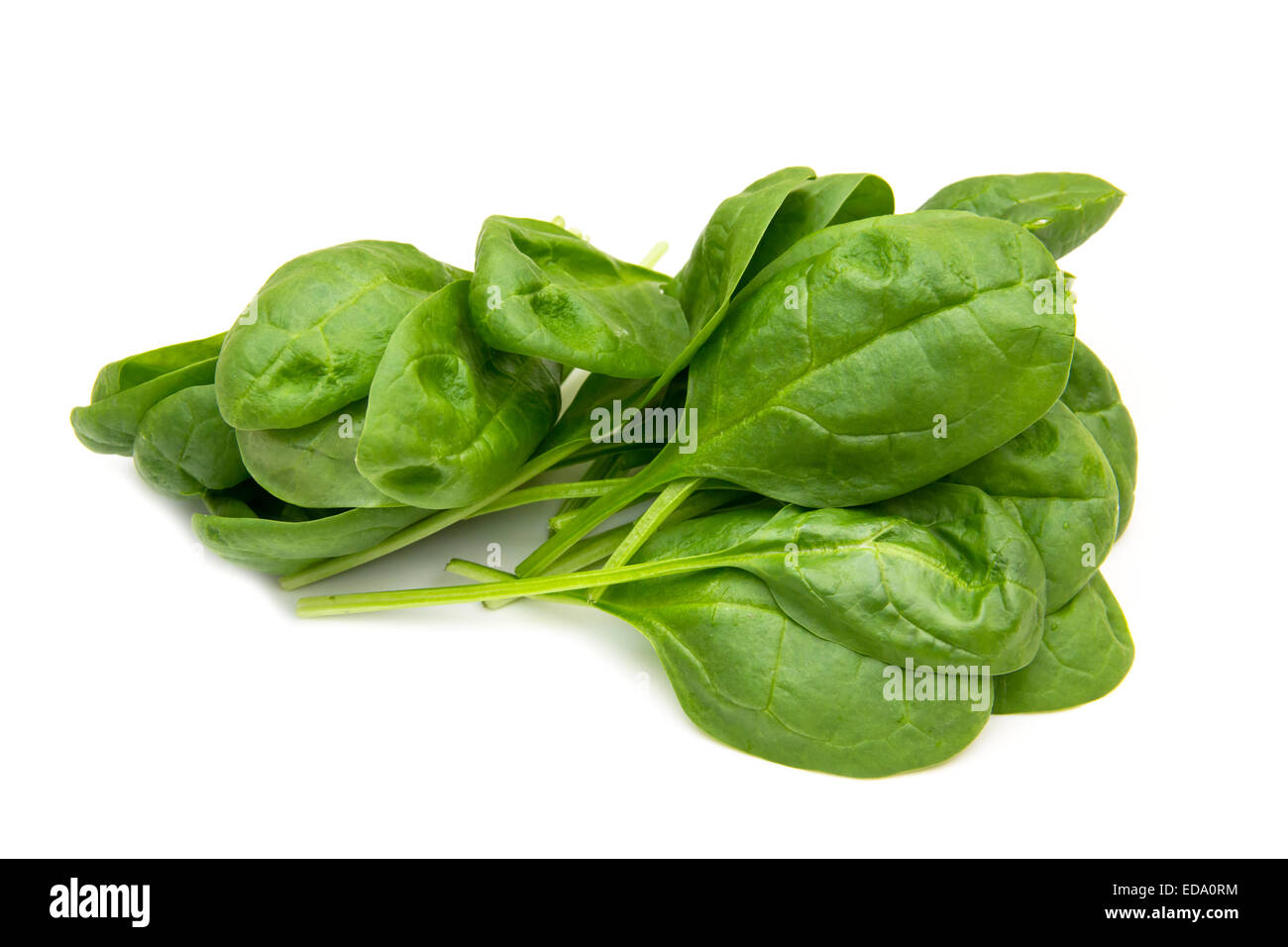 Fresh spinach leaves on a white background Stock Photo - Alamy