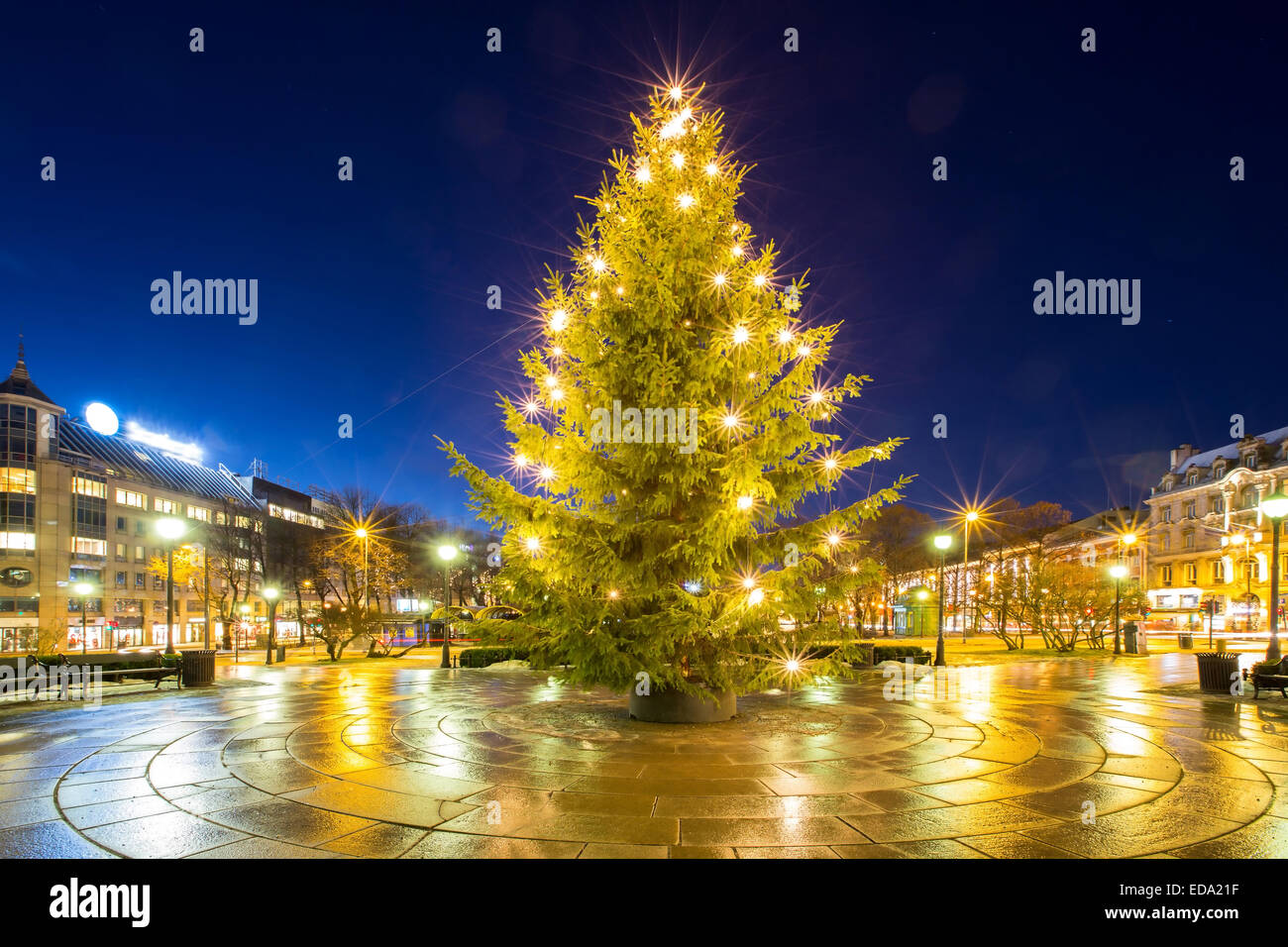 Christmas tree light in oslo city Norway Stock Photo Alamy