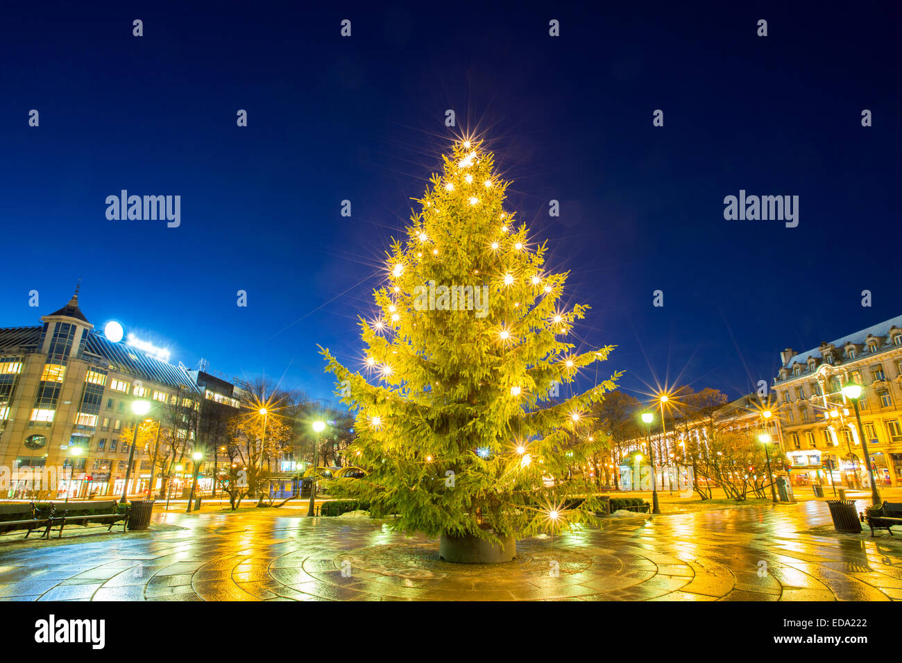 Oslo Christmas Tree High Resolution Stock Photography and Images Alamy