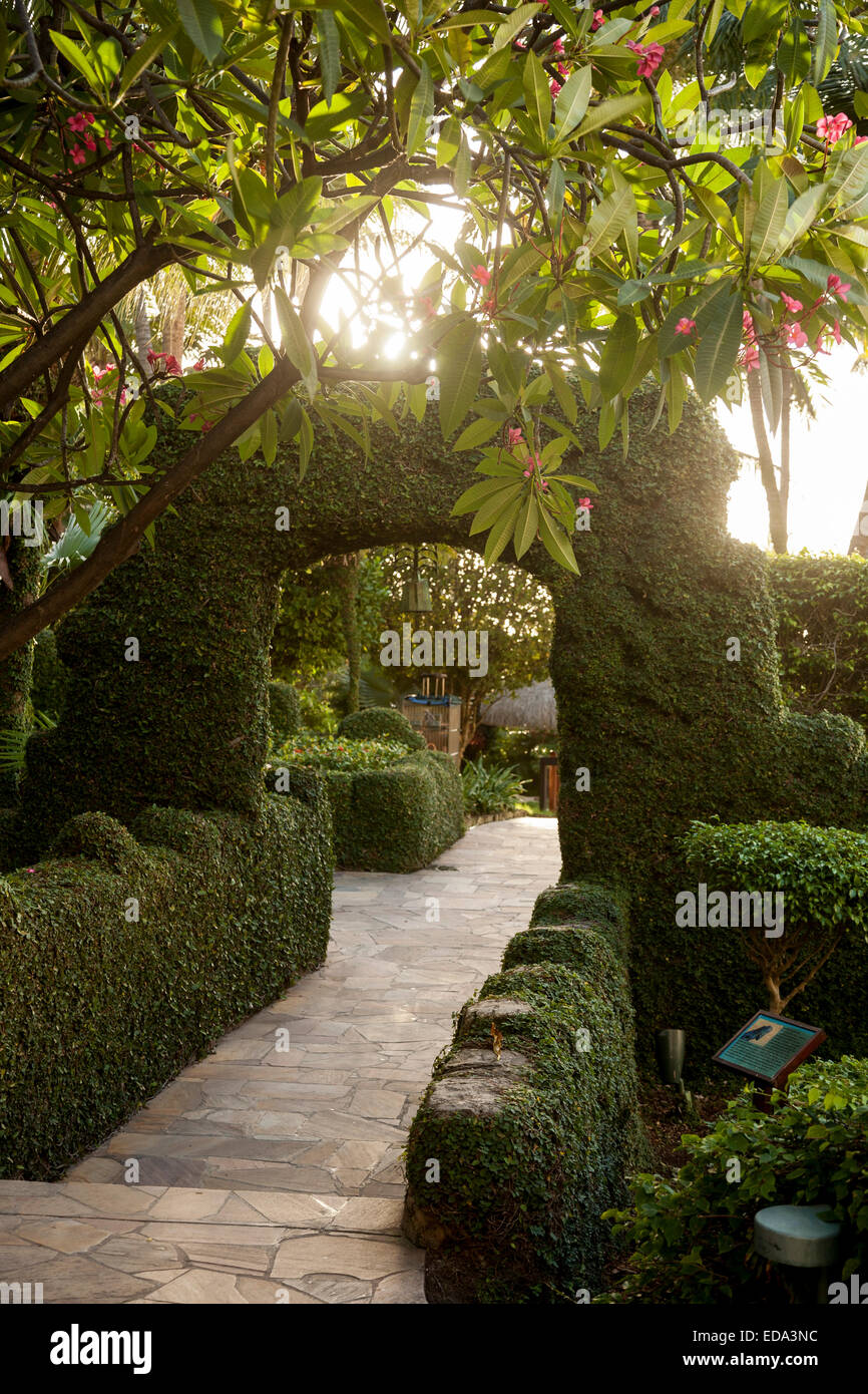 Inviting tropical pathway at hotel in Aruba Stock Photo - Alamy