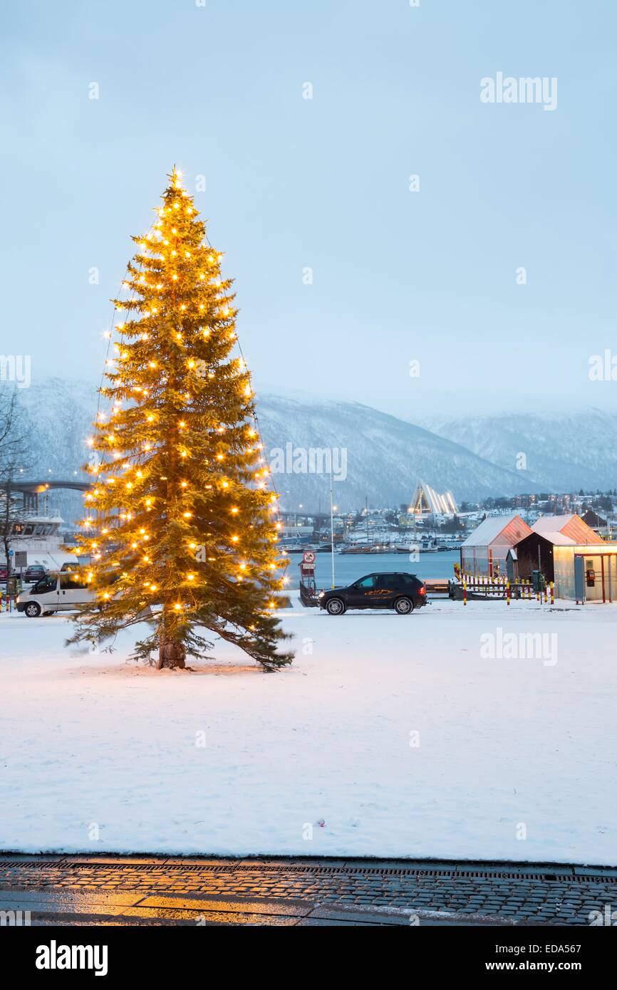 Snow covered outdoor Christmas tree with lights in Tromso Norway Stock Photo