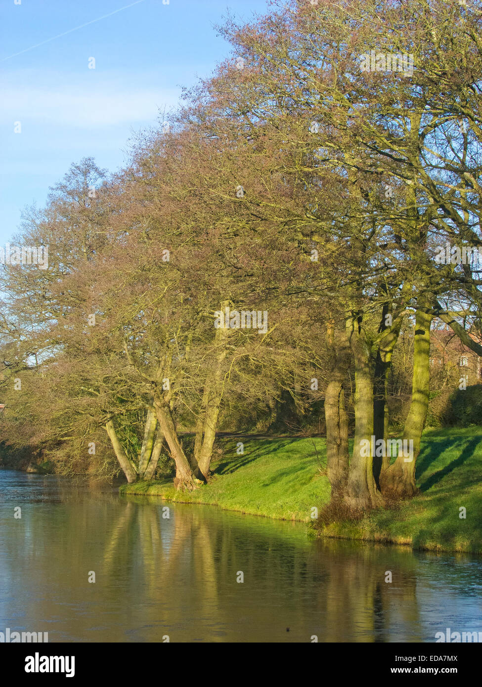 Lower Arrow Pool, River Arrow, Cofton Hackett, Worcestershire, England