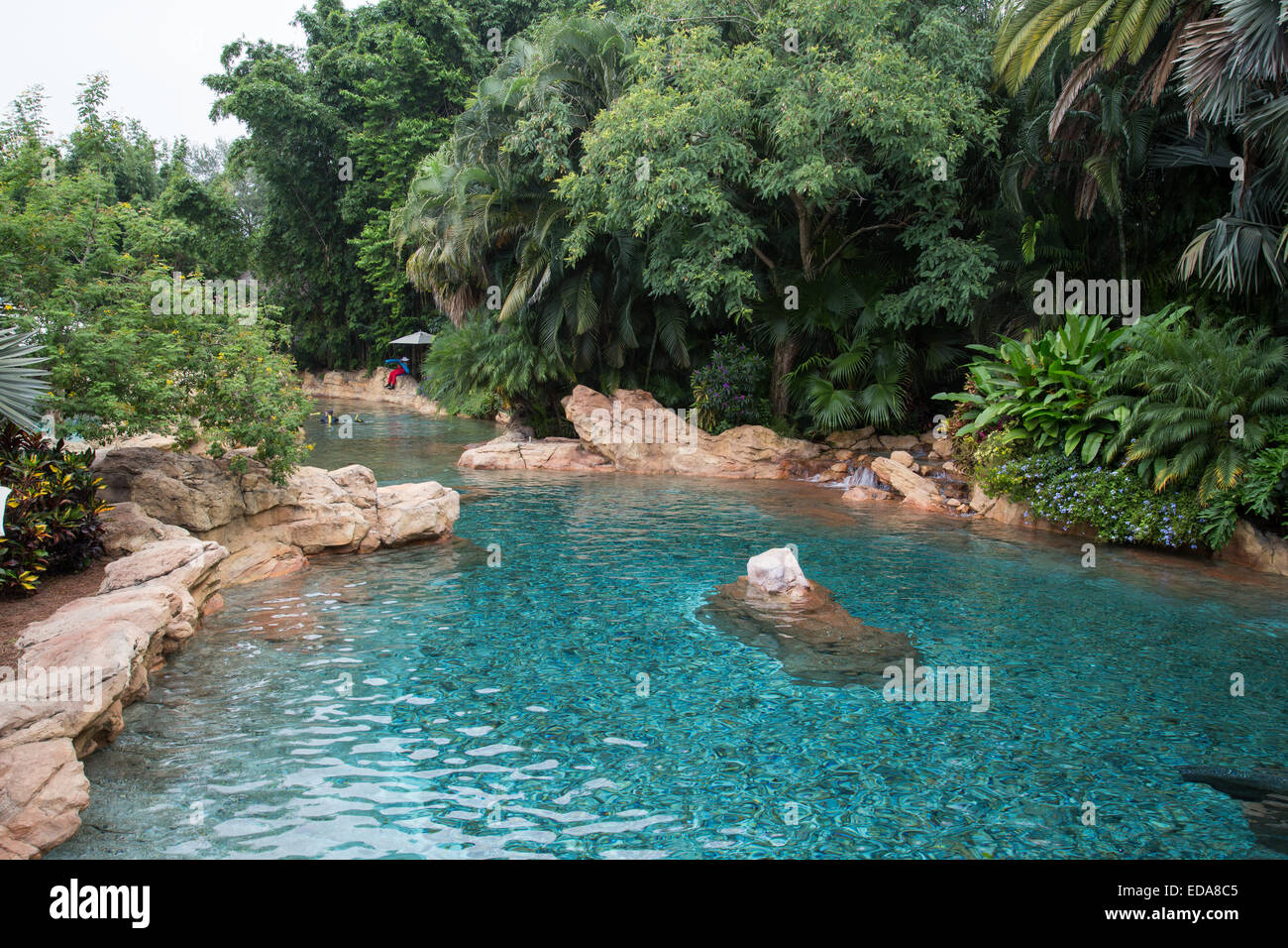 Discovery Cove, Seaworld, Florida Stock Photo