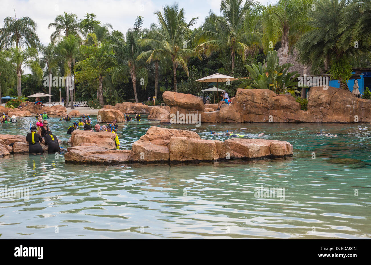 Discovery Cove, Seaworld, Florida Stock Photo