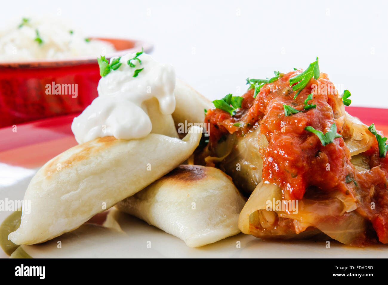 Serving dish with authentic homemade Polish meat stuffed cabbage rolls