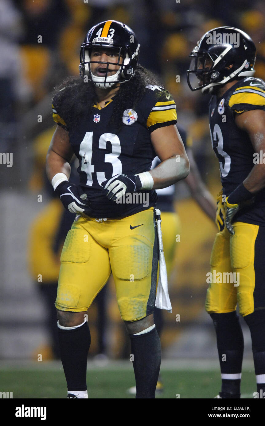 Jan 3rd, 2015: Troy Polamalu #43 during the Pittsburgh Steelers vs  Baltimore Ravens game in Pittsburgh, PA Stock Photo - Alamy