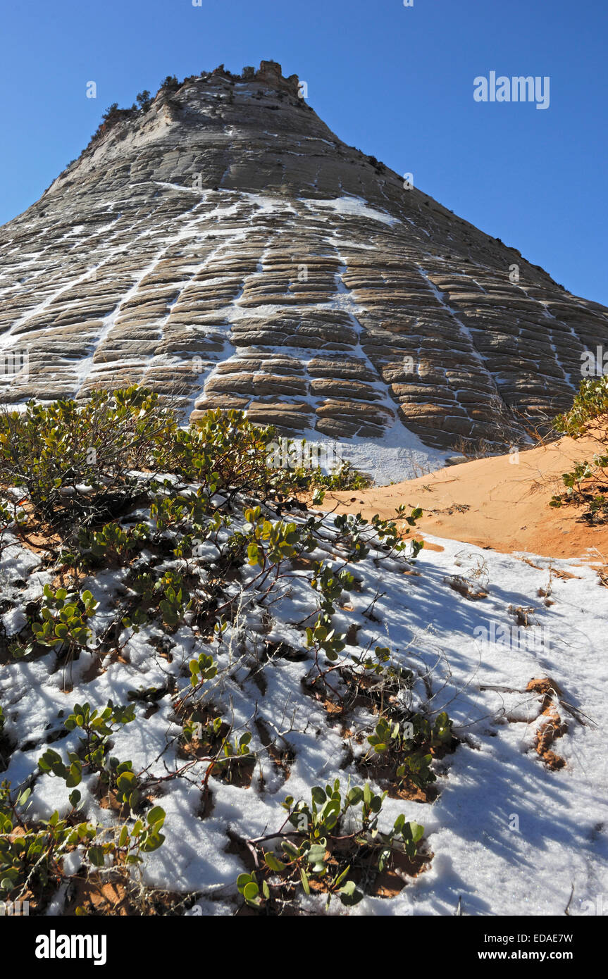 Checkerboard formation hi-res stock photography and images - Alamy