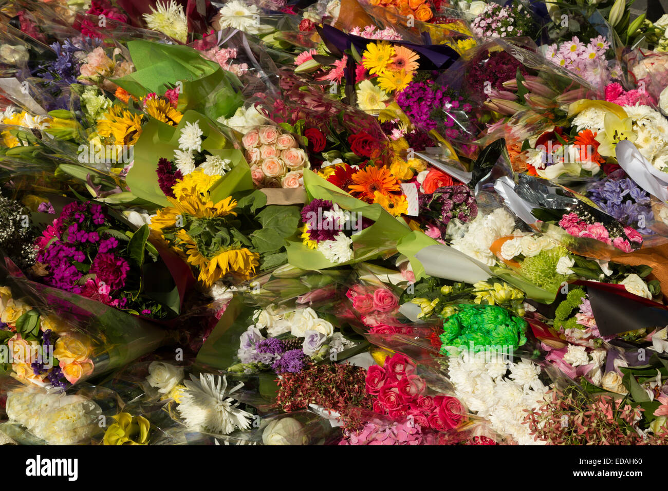 A photograph of flowers placed at Martin Place after the Sydney Siege