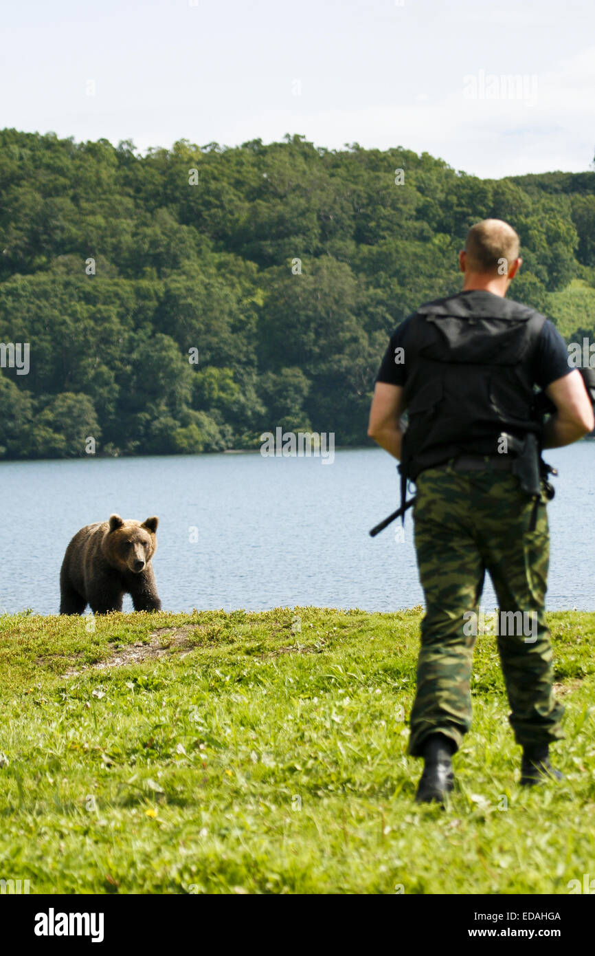 Brown Bear (Ursus arctos) and ranger in Kurile Lake, Kamchatka Peninsula, Russia. Stock Photo