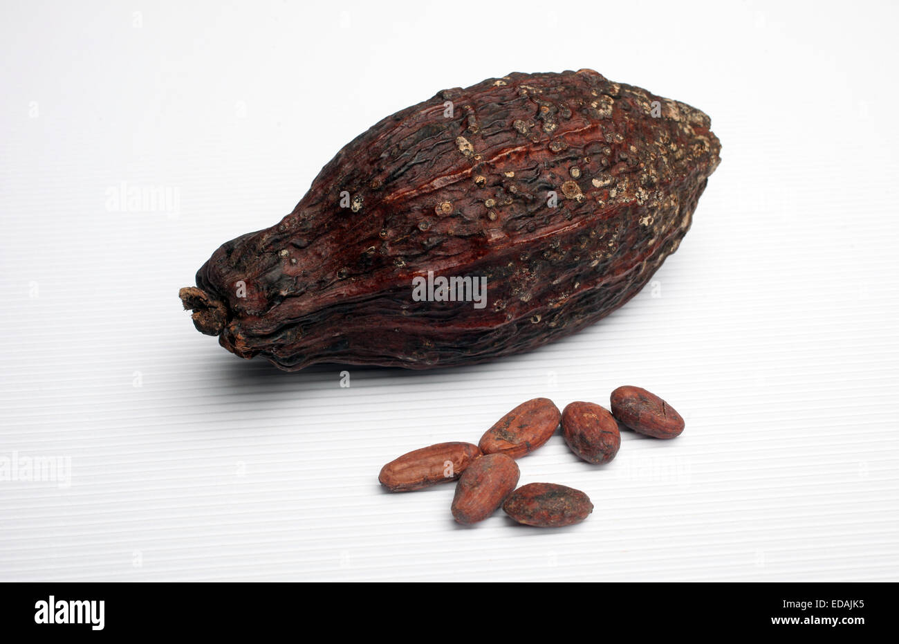 Cocoa pods and beans Stock Photo