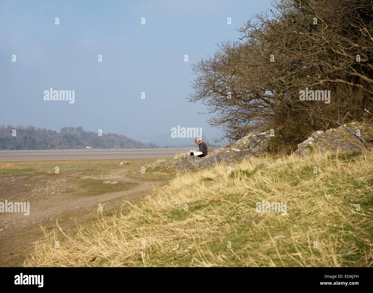 Man reading in quiet countryside Stock Photo