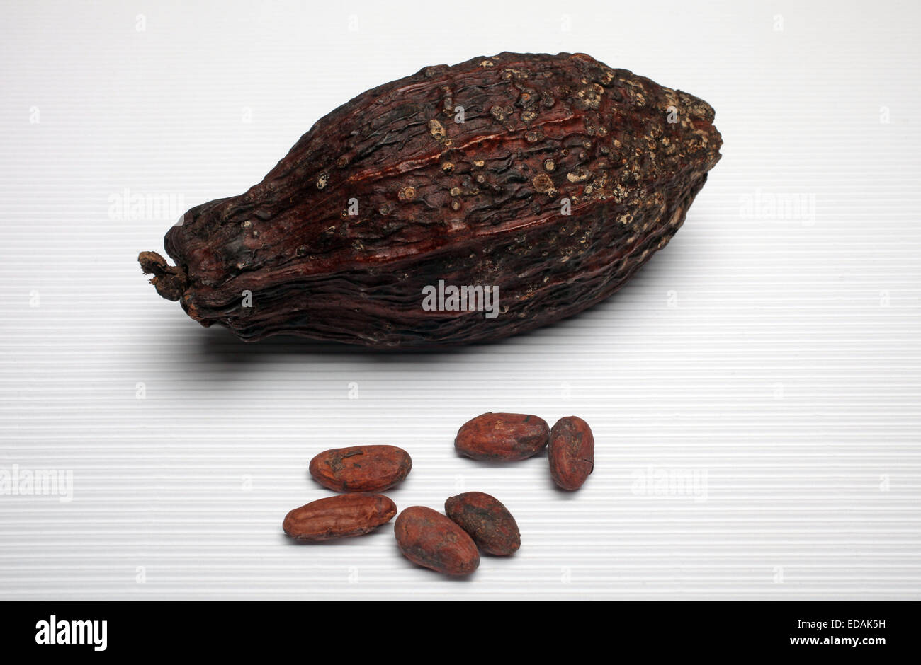 Cocoa pods and beans Stock Photo