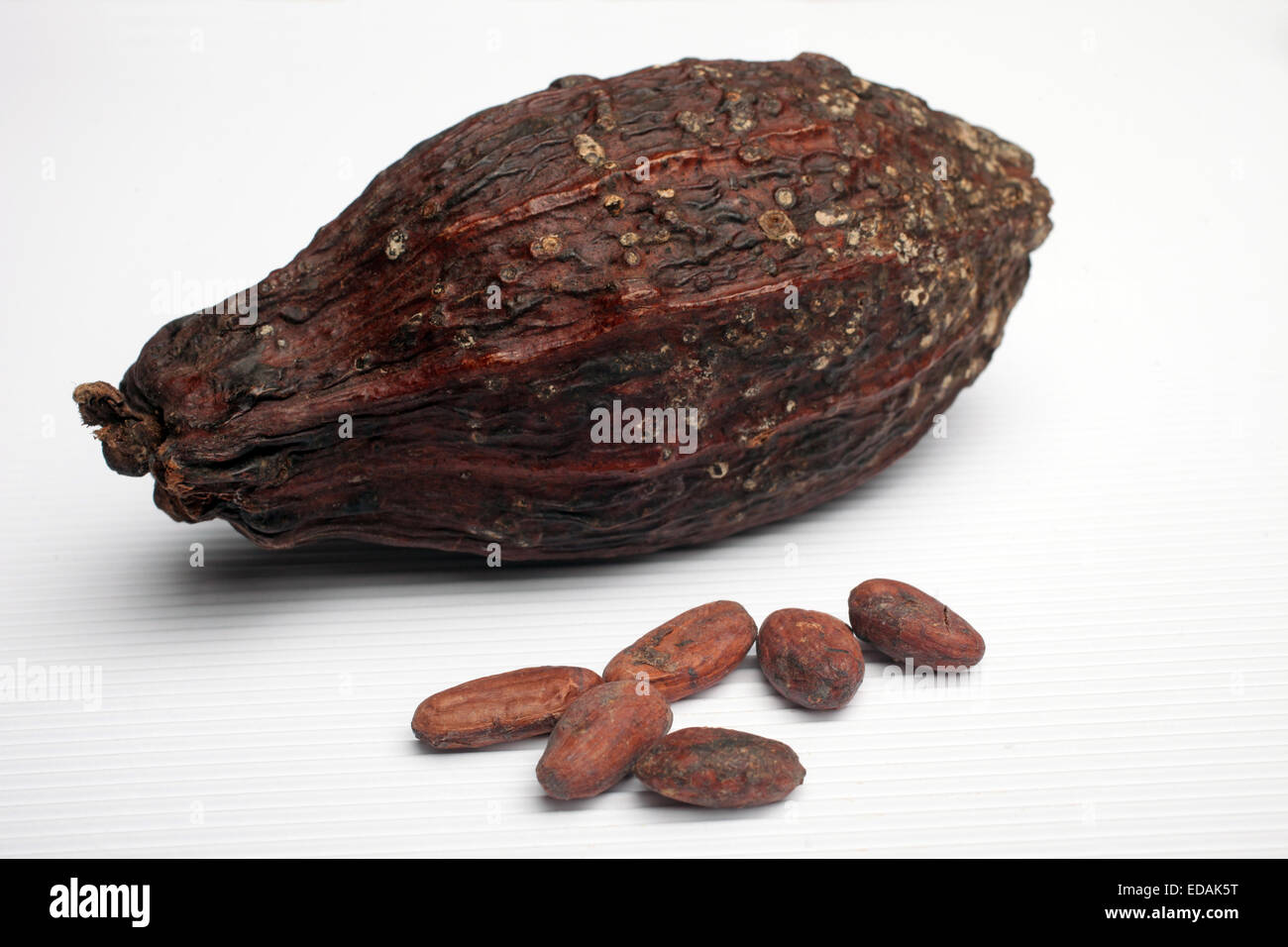 Cocoa pods and beans Stock Photo