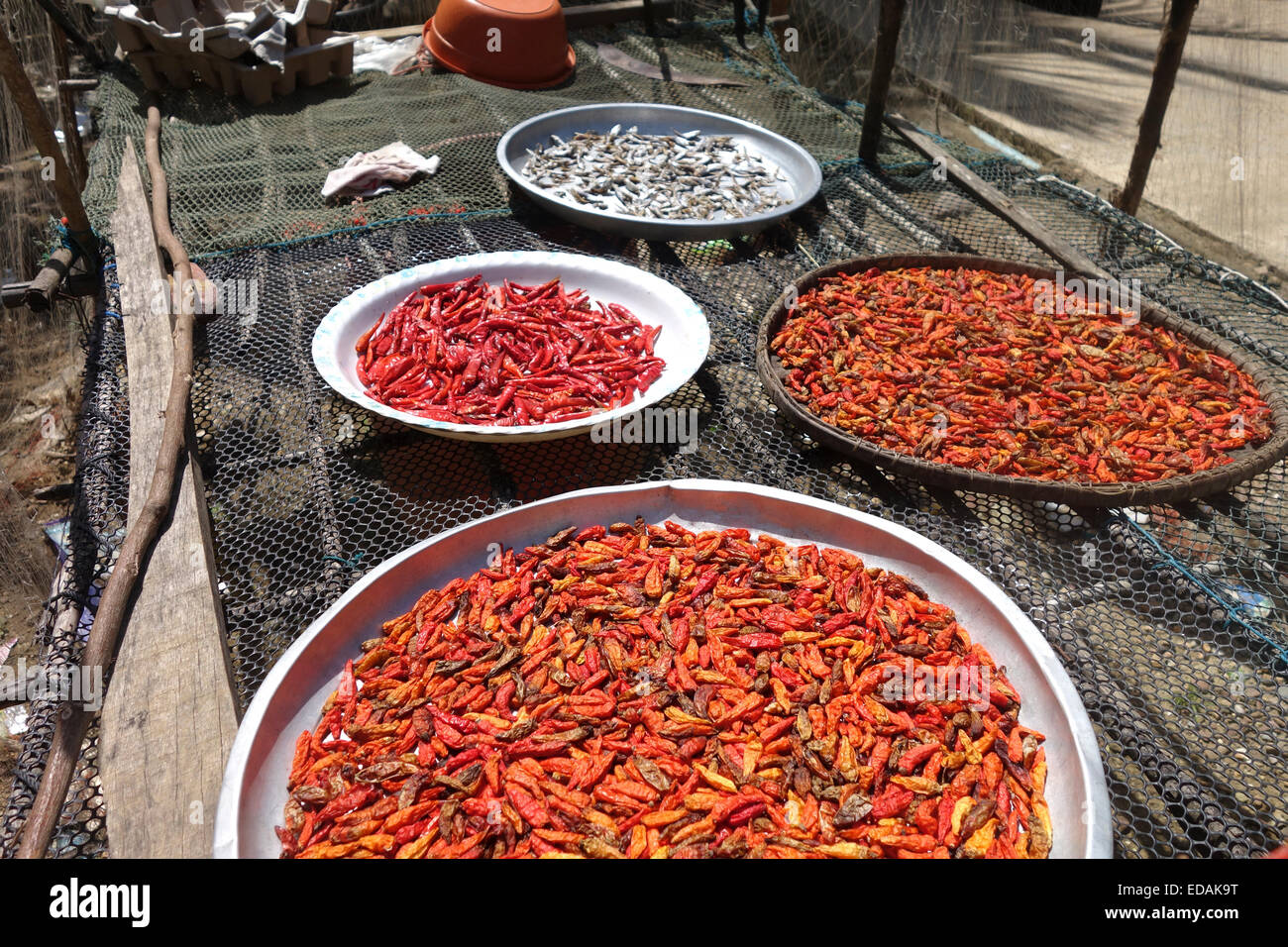 Sun dried chili peppers and dried fish on plates Sea gypsies, Koh Lanta, Krabi, Thailand, South-east Asia. Stock Photo